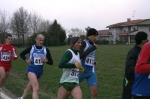 Reggiolo2006 0064.JPG