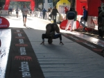 2222 930.jpg