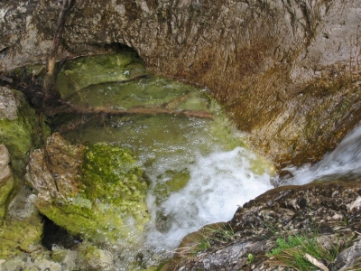 Clicca per vedere l'immagine alla massima grandezza