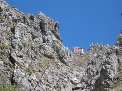 Clicca per vedere l'immagine alla massima grandezza