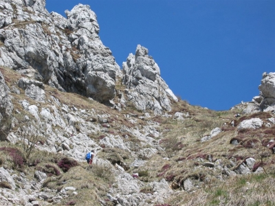 Clicca per vedere l'immagine alla massima grandezza