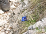 Nome del file=132_3289.JPG
Dimensione del file=187KiB
Dimensioni=1024x768
Aggiunta il=18 Mag 2006 132_3289.JPG