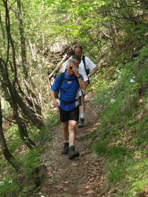 Clicca per vedere l'immagine alla massima grandezza