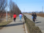 Tronto_2006_0049.jpg