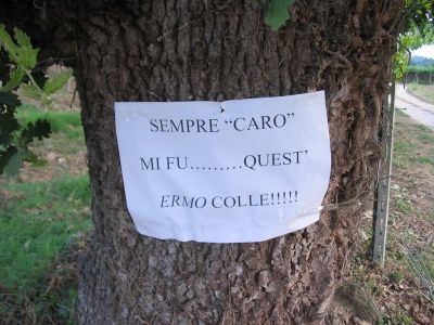 Clicca per vedere l'immagine alla massima grandezza