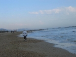 Tronto_2006_0290.jpg