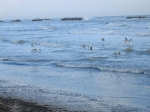 Tronto_2006_0297.jpg