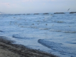 Tronto_2006_0298.jpg