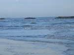 Tronto_2006_0302.jpg