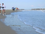 Tronto_2006_0376.jpg