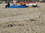 Tronto_2006_0411.jpg