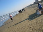 Tronto_2006_0427.jpg