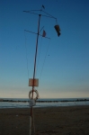 Tronto_2006_0010.jpg