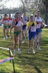 img 055.jpg