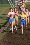 img 084.jpg