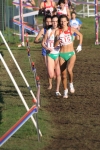 img 088.jpg
