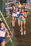 img 095.jpg