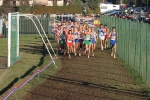 img2 036.jpg
