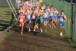 img2 039.jpg