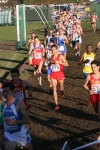 img2 043.jpg