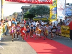 Immagine 418.jpg