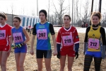 5.2.06-5 Mulini277.jpg