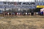 5.2.06-5 Mulini280.jpg