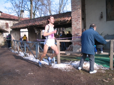 Clicca per vedere l'immagine alla massima grandezza