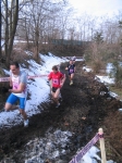 IMG_3576.jpg