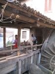 IMG_3580.jpg