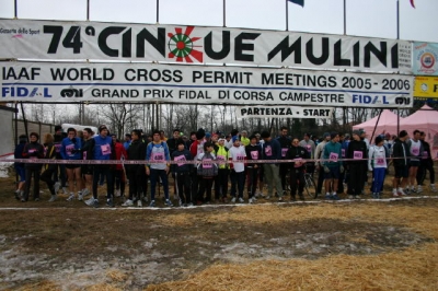 Clicca per vedere l'immagine alla massima grandezza