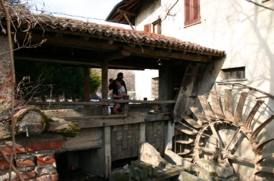 Clicca per vedere l'immagine alla massima grandezza