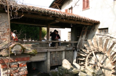 Clicca per vedere l'immagine alla massima grandezza