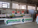 Immagine 014.jpg
