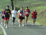 scandiano06 350.jpg