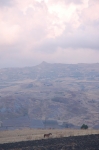 sciara_06_0129.jpg