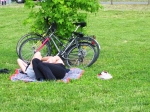 seregno_martesana_2006_ 087.jpg