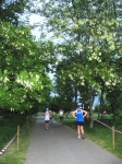 seregno_martesana_2006_ 180.jpg