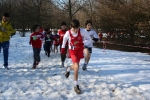 11-02-06-BrianzoloSeveso036.jpg