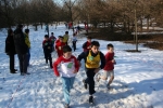11-02-06-BrianzoloSeveso039.jpg