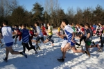 11-02-06-BrianzoloSeveso072.jpg