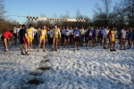 11-02-06-BrianzoloSeveso325.jpg