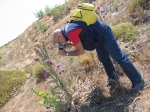 vendicari_06_0029a.jpg
