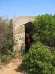 vendicari_06_0038f.jpg