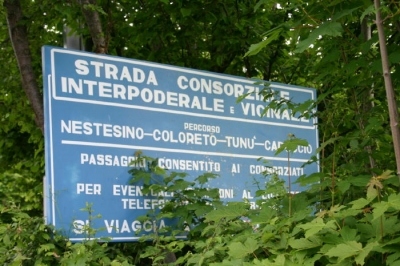 Clicca per vedere l'immagine alla massima grandezza