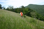 IMG_0095.JPG