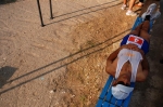 24oretermitana_2006_0034jpg.jpg
