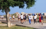 24oretermitana_2006_0095jpg.jpg