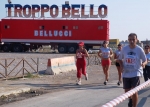 24oretermitana_2006_0185jpg.jpg
