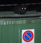 24oretermitana_2006_0346.jpg